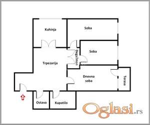 Zvezdara - Lion - 2.5 ID#24640