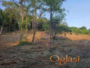 Plac, 3.900m2, Popovica