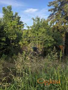 Na prodaju plac u Irigu