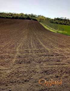 Maradik - gladnos poljoprivredno zemljiste HITNO