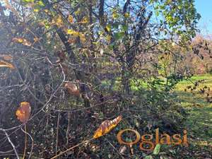 Plac u velikoj remeti