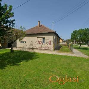 Srbobran, Odlična kuća u oazi zelenila