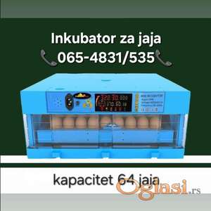 Inkubatori za jaja (64)