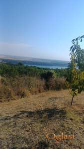 Održavan voćnjak sa PRELEPIM pogledom na Dunav i Banat