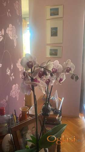 Fotografija stana 8 od 10