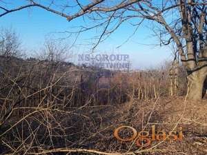 Plac,odlican u Sremskoj Kamenici