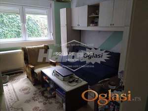 Vojvode Stepe, 2.0 namešten, pet friendly ID#6509