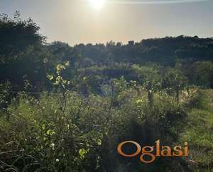 Odlican plac na Alibegovacu!