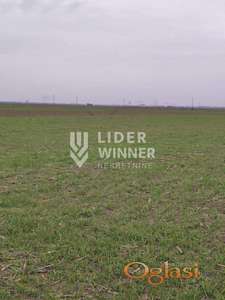 Plac, Surčin, Jakovo, 329,3 ari ID#132245