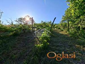 Grocka - Zaklopača - 18a ID#25242