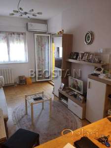 Novi Beograd - Dr ivana ribara #2267550