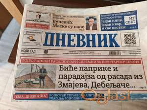 Prodaje rasad paprike, paradajza, krastavac...Zmajevo