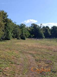 Prodaje se zemljiste na Fruskoj Gori