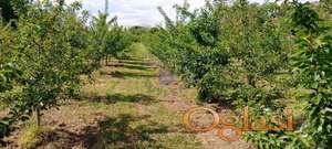 Plac odlican u Cortanovcima