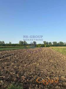 Plac u Rumenci, ukjnizen 1/1