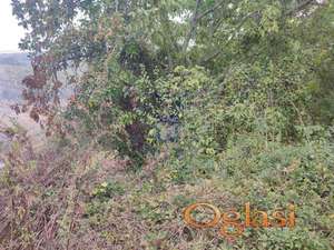 Plac 4399m2 Sremski Karlovci