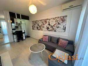 Jednoiposoban, namešten stan, Danila Kiša