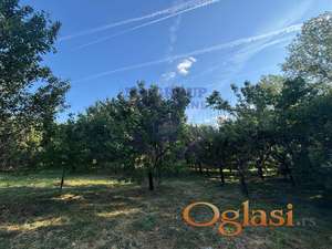 549237-Plac površine 1500m2