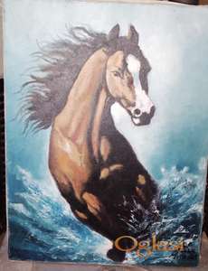 KONJ U GALOPU -POVOLJNO