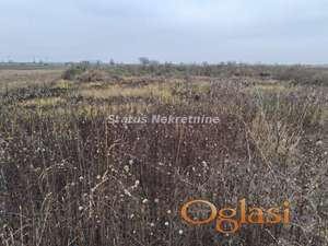 Futog-Uknjižen Građevinski Plac 770 m2 bliže Veterniku na Top Lokaciji-065/385 8880