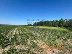 Zemljište na dobroj lokaciji