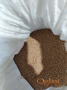 Pšenica - žito i prolećni ovas, rod 2025