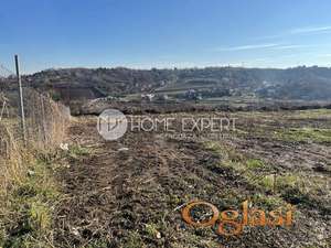 PETROVARADIN - ALIBEGOVAC - 600.00 m2