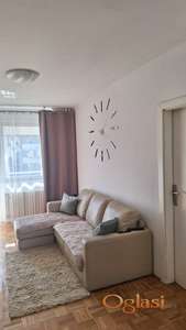LEP STAN,PET& FRIENDLY