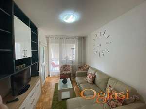 LEP STAN,PET& FRIENDLY