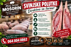 Svinjske polutke