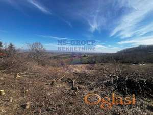 Fantastican plac na Alibegovcu! Potez Gudura!