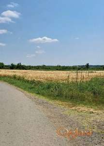 Njiva Barajevo-Veliki Borak