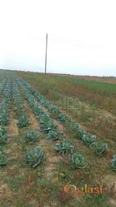 FUTOG - LOKACIJA POZNATA AGENCIJI - 5990.00 m2