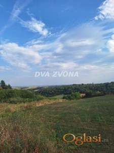 Plac Čortanovci 11 ari-Izuzetna prilika – uz asfalt!