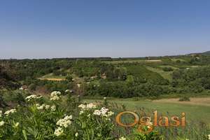 Fruška Gora-Manastir Krušedol-vikend zona 11,5 ari