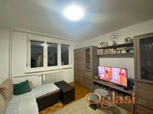 537802-Dvosoban-59m2-Stara Detelinara