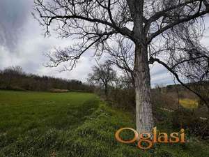 Krušedol poljoprivredno zemljište 4.246m2