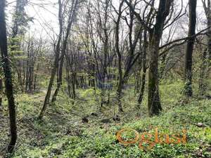 Odličan plac u Vrdniku!