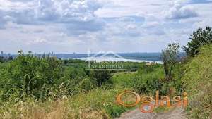 Palilula - Višnjica - 80,64 ara ID#24431