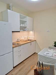 Banovo brdo, izdavanje, 1.5, renoviran, namešten ID#10484