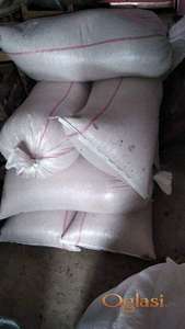 Kukuruz na džak  2025