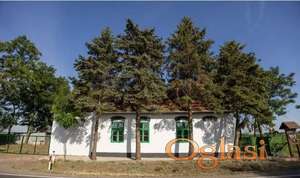 Prodajem salas u Srbobranu