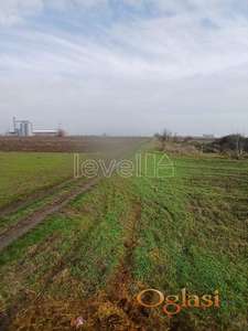 KOVILJ - KOVILJ - 6505.00 m2