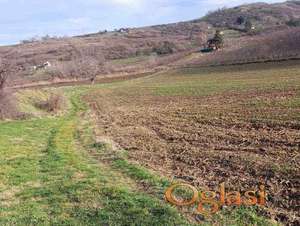 Odlična investicija