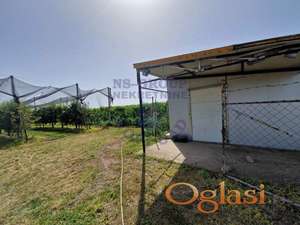 Odlican plac u Temerinu