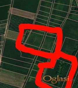 Erdevik parcele polj. zemljište 10244m2 HITNO!