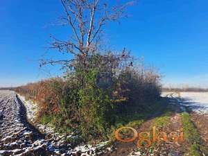 521334-Predstavljamo Vam odličnu parcelu blizu Woby housa.