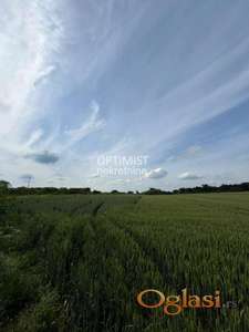 Surčun, Građevinsko zemljište, 86.83 ara ID#2971