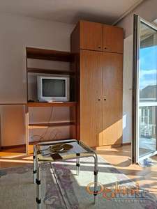 NOVI SAD - CENTAR - 30m2 - 250 evra