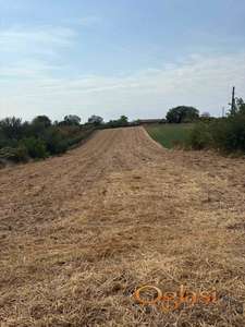 Krušedol Selo građevinsko zemljište 3513m2 HITNO!